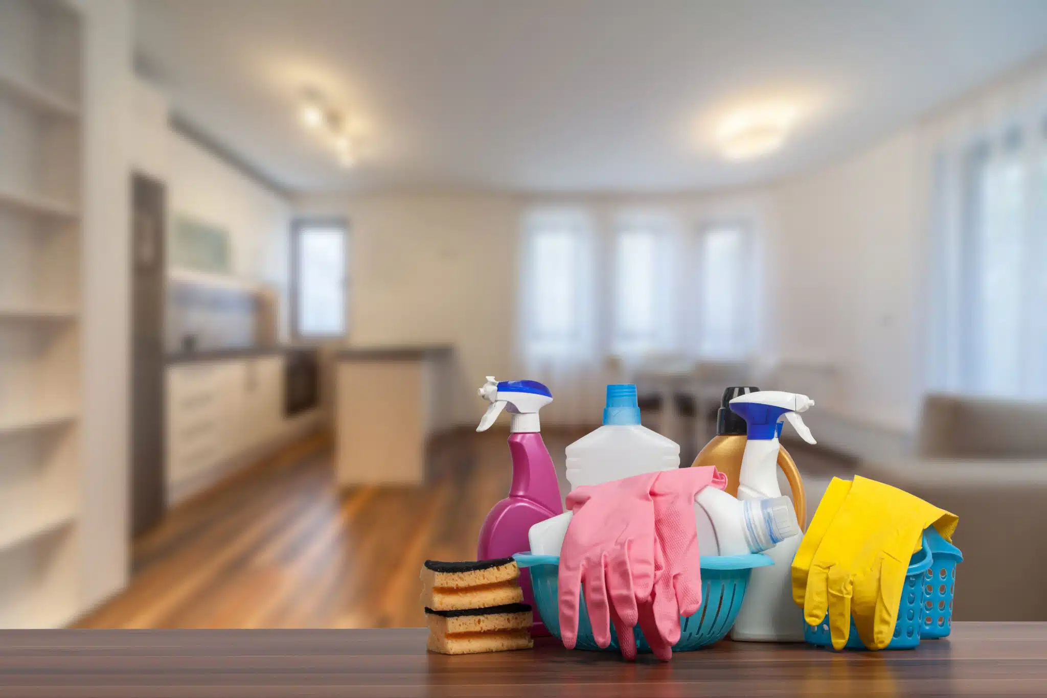 Limpieza del hogar / Guía para la limpieza del hogar