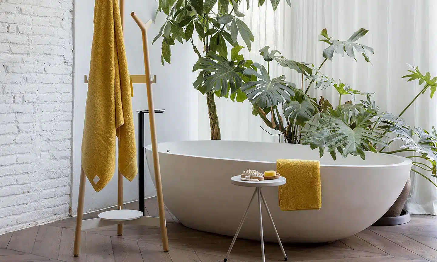 Planta para baño Filodendro